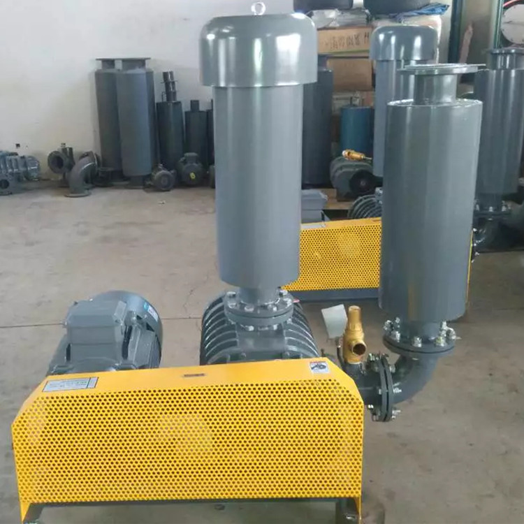 導致羅茨TXVLOGCOM糖心官网免费版观看風量不足的原因