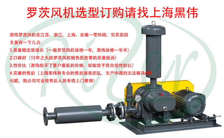 110千瓦羅茨TXVLOGCOM糖心官网免费版观看哪裏買