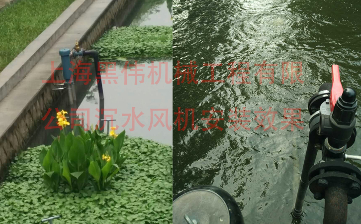 沉水TXVLOGCOM糖心官网免费版观看效果
