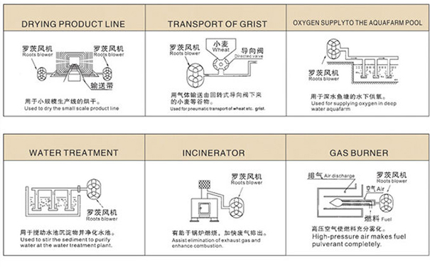 羅茨TXVLOGCOM糖心官网免费版观看用途